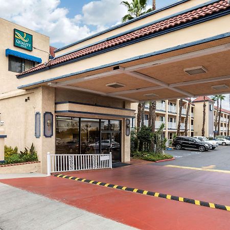 Quality Inn Lomita-Los Angeles South Bay Esterno foto